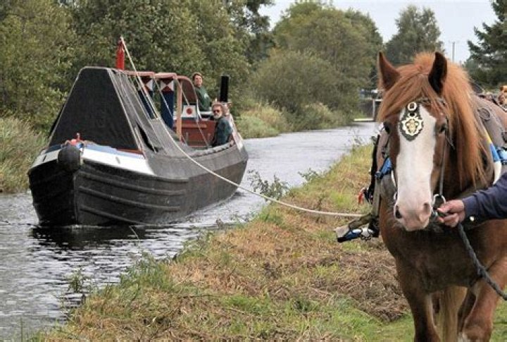 Did horses pull canal boats?