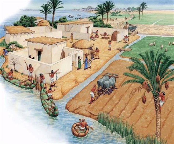 Did Mesoamerica irrigation?