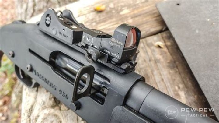 Do all shotguns have shotgun sights?