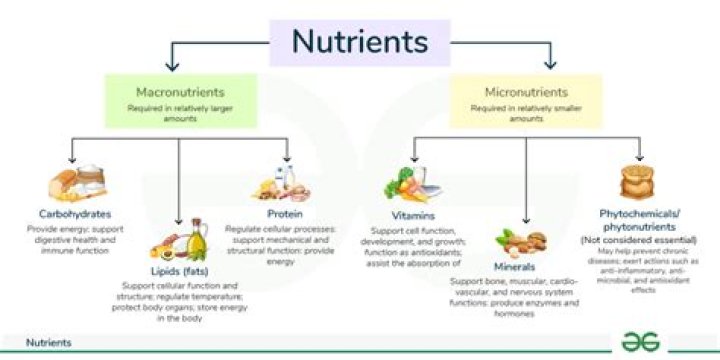Do eggs contain all the nutrients you need?