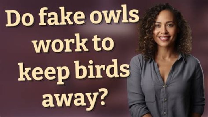 Do fake owls work to keep birds away?