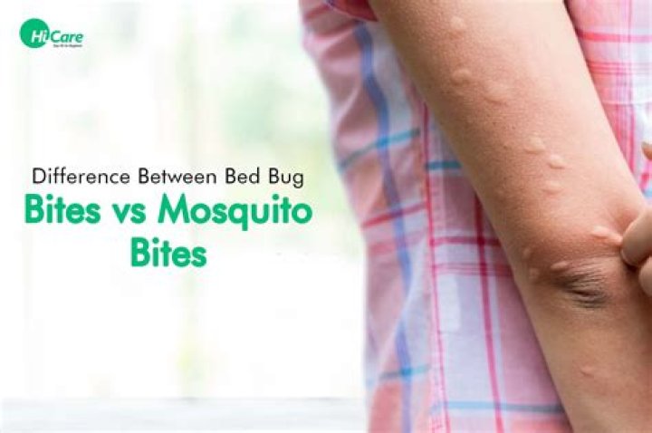 Do picnic bugs bite?
