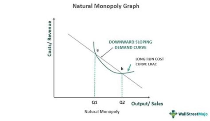 Do pure monopolies exist?
