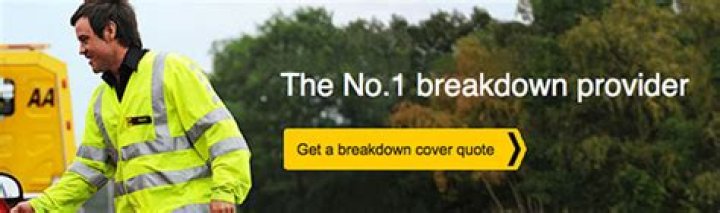 Does AA breakdown renew automatically?