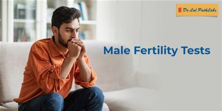 Does amlodipine affect male fertility?