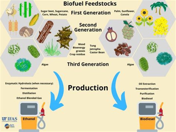 Does biofuel production use water?