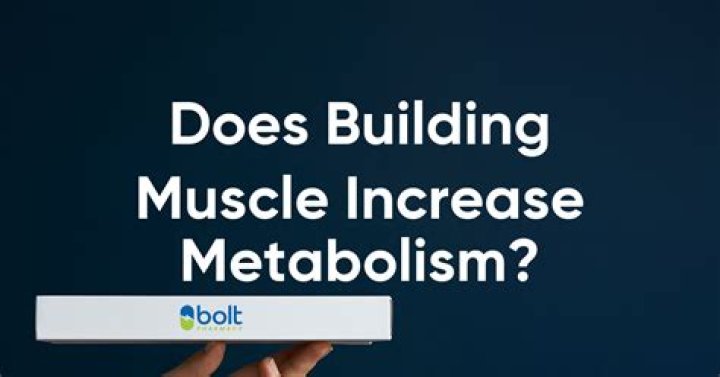 Does building muscle give you more energy?