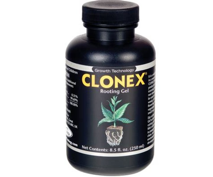Does Clonex rooting gel work?