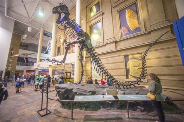 Does Denver Museum of Nature and Science require masks?