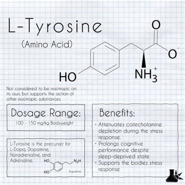 Does L-Tyrosine actually work?