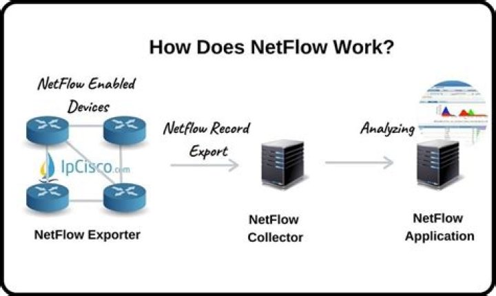 Does Netflow work on layer 2?