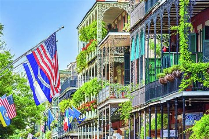 Does New Orleans have good oysters?