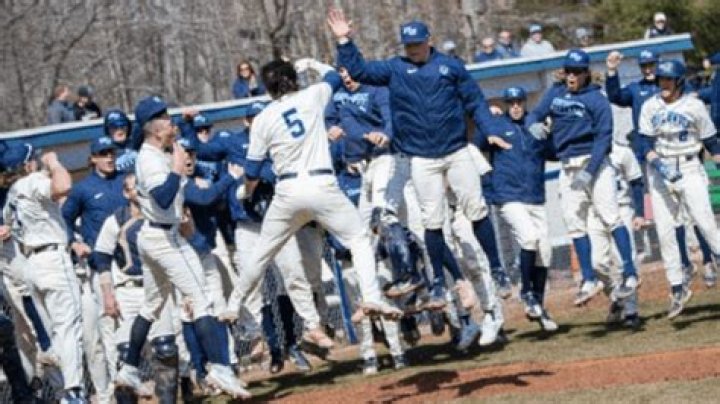 Does Northwood University have a baseball team?