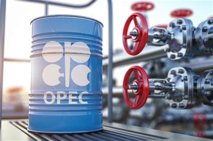 Does OPEC produce gas?