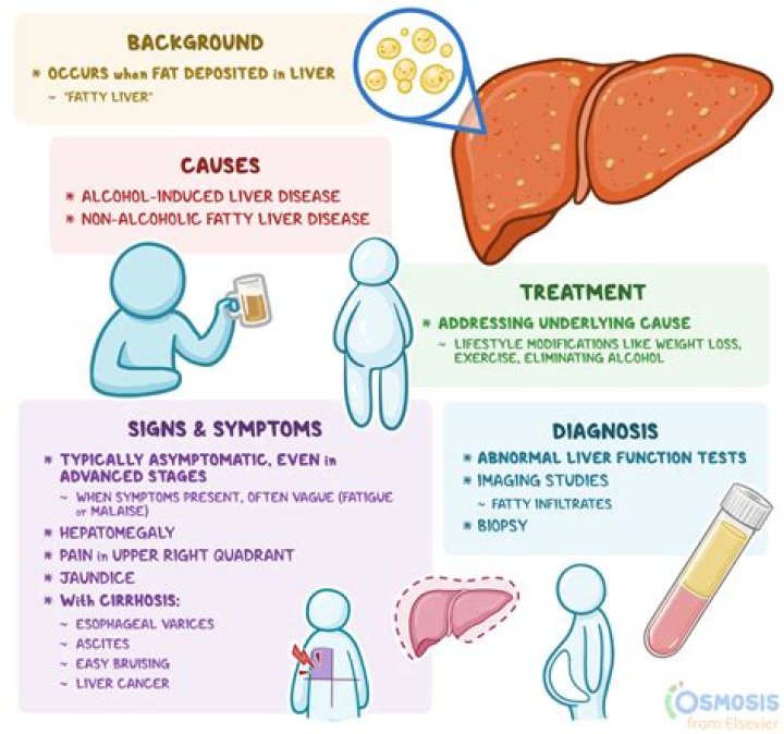 Does pernicious anemia cause hepatosplenomegaly?