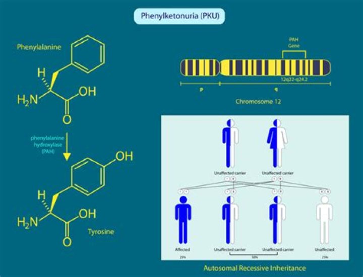 Does phenylketonuria run in the family?