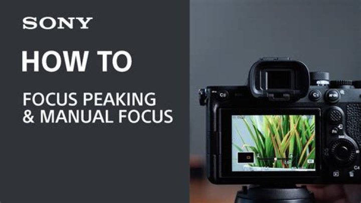 Does Sony NEX 6 have focus peaking?