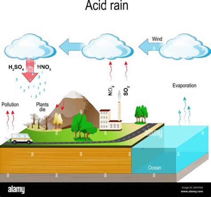 Does Sulphur dioxide cause acid rain?