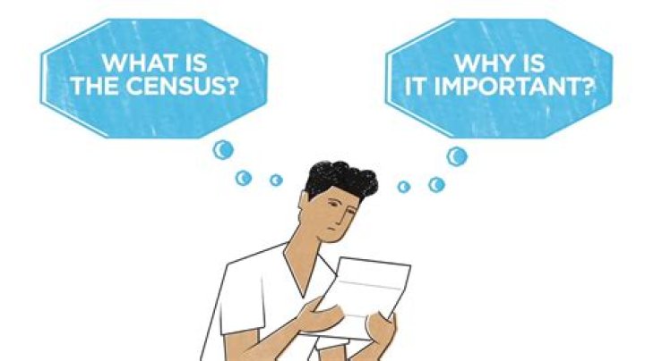 Does the census need to be cited?