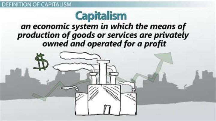 Does the US use regulated capitalism?