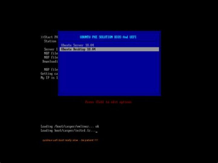 Does UEFI support Linux?