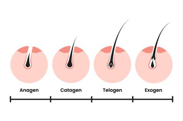 Does waxing lead to more hair growth?