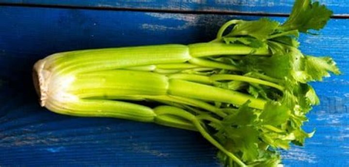 Er Bladselleri en anti-carcinogen?