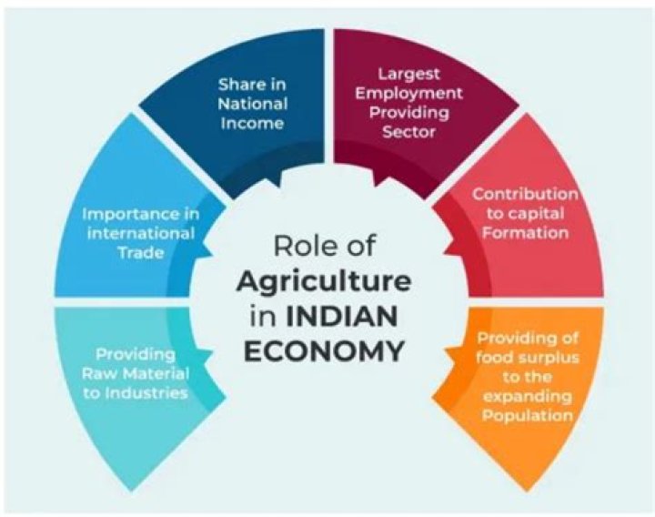 Has made positive contribution to India IT sector?