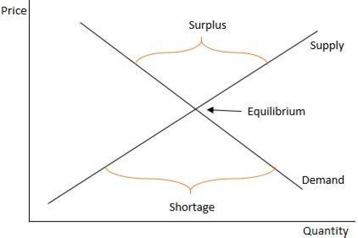 How are equilibrium surplus and shortage correlated?
