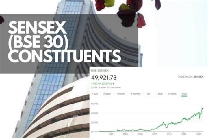How are Sensex 30 companies selected?