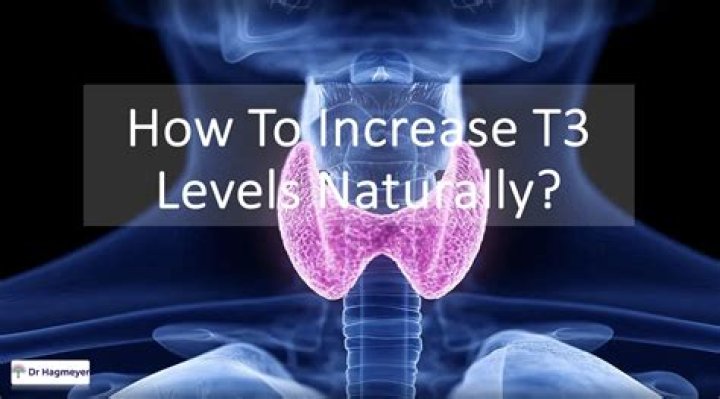 How can I increase my T3 levels naturally?