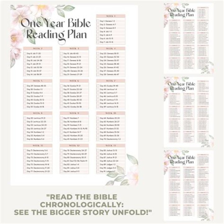 How can I read the Bible in one year?