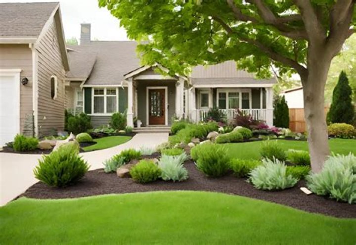 How can I redo my front yard for cheap?