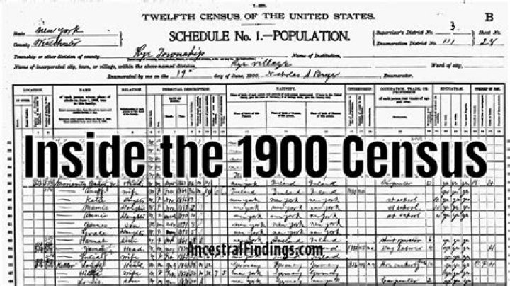 How can I see the 1900 Census?