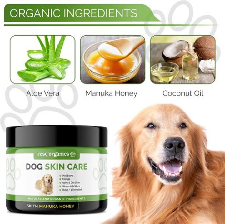 How can I treat my dogs skin allergies?