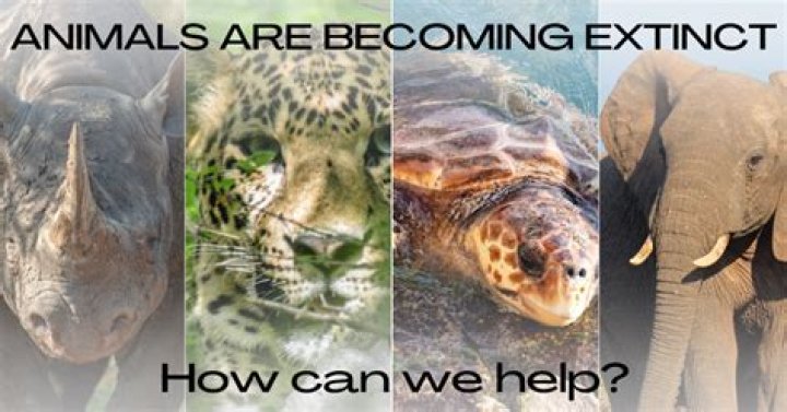 How can we save species from extinction?