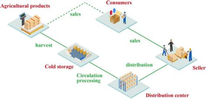 How can you improve the distribution of goods?