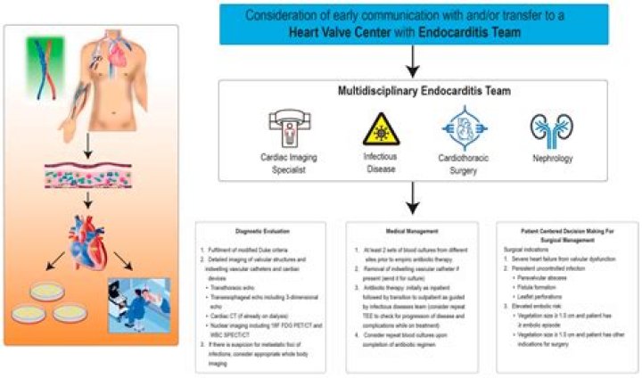 How can you reduce the risk of infective endocarditis?