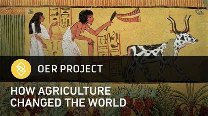 How did agriculture affect Mesopotamia?