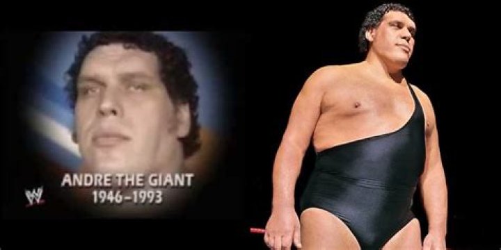 How did Andre Giant die?