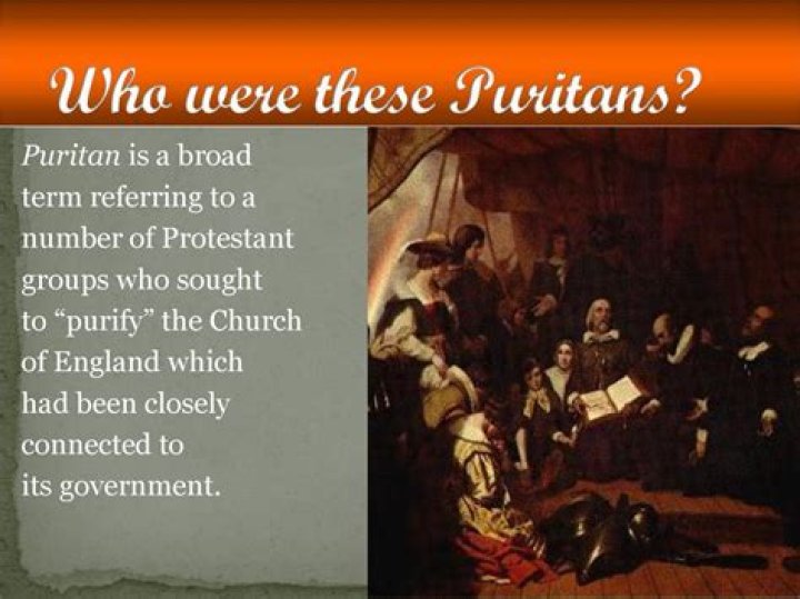 How did Puritans make money?