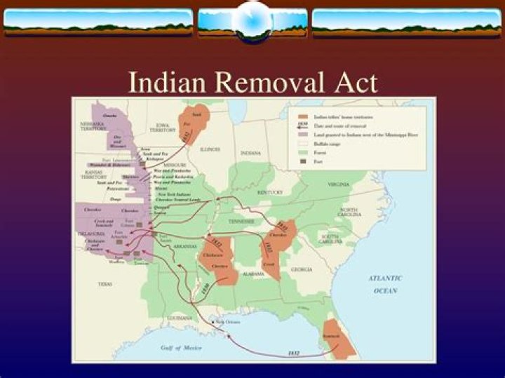 How did the Indian Removal Act benefit America?