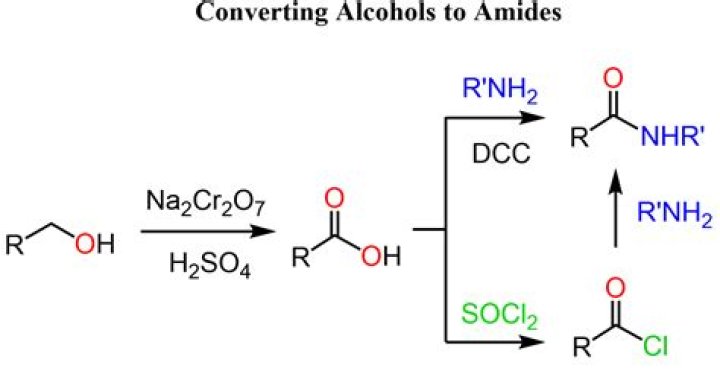 How do amides react with alcohol?
