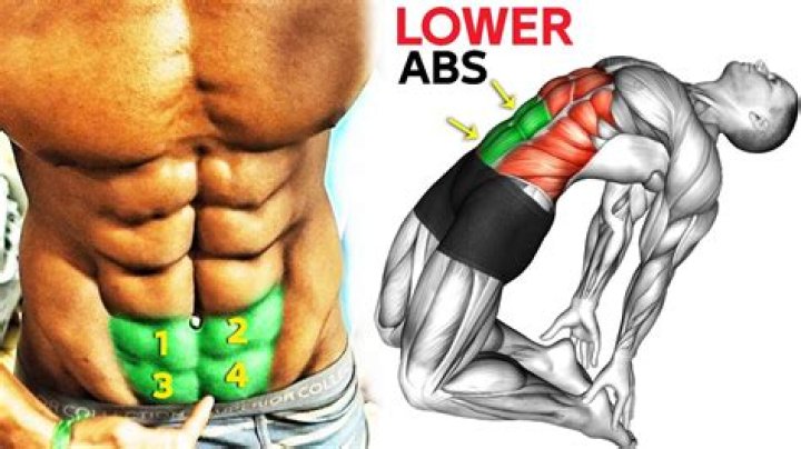 How do bodybuilders build lower abs?