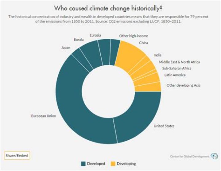 How do developed countries contribute to pollution?