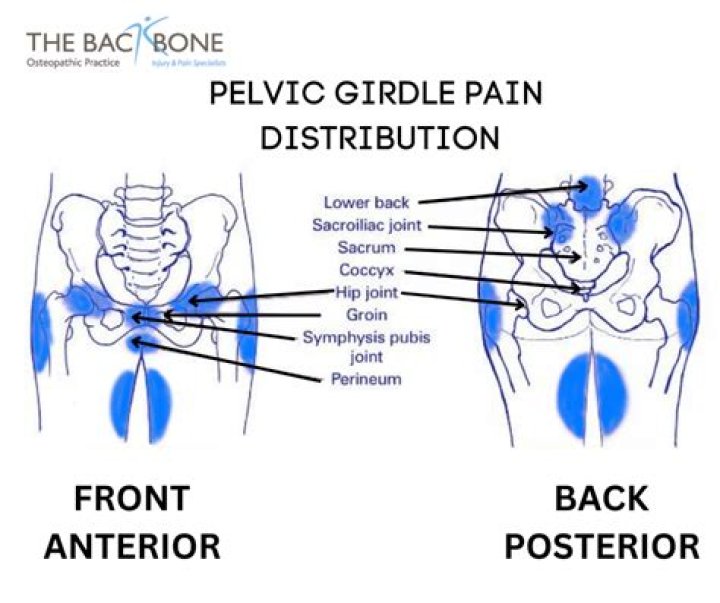 How do I align my pubic symphysis?