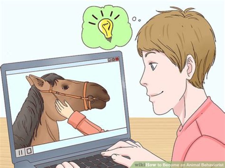 How do I become an animal behaviorist UK?