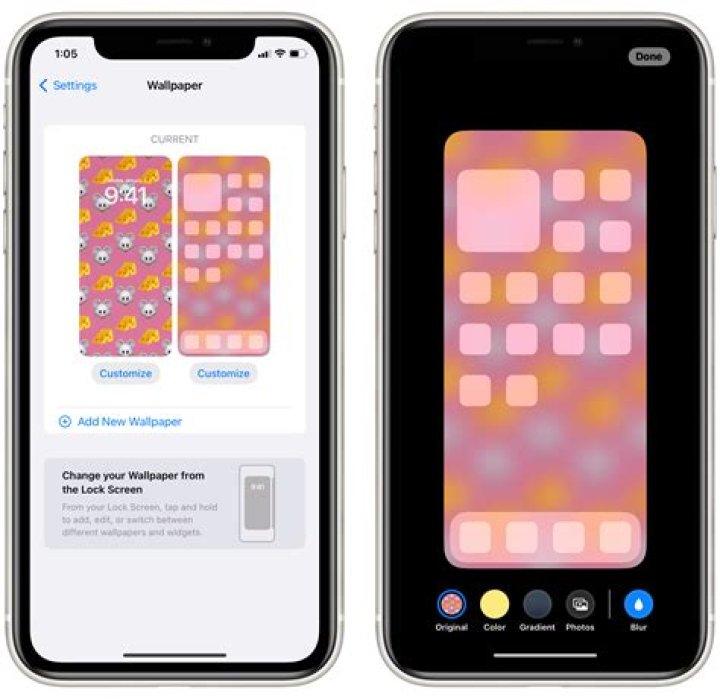 How do I change my homepage picture on my iPhone?