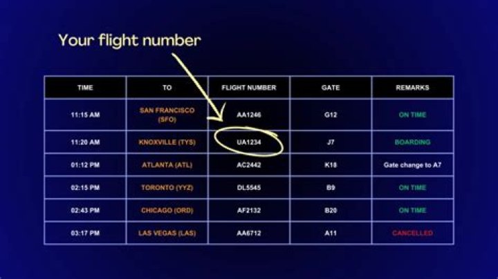 How do I check my flight status Lufthansa?