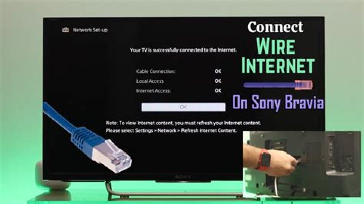 How do I connect my USB camera to my Sony Bravia TV?